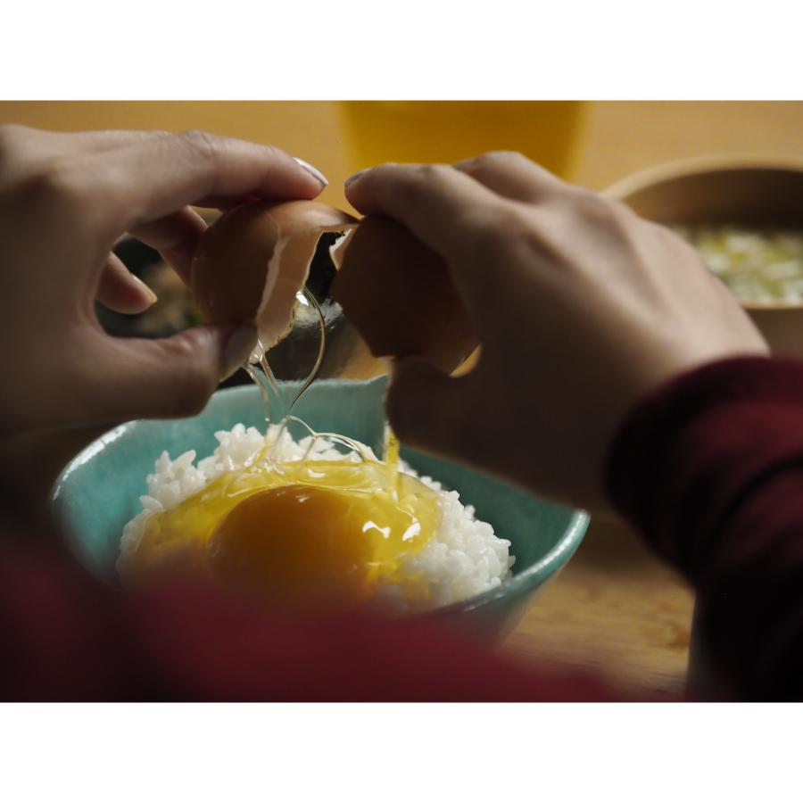 ＜カヤニファーム＞宗谷のしおかぜたまご10個入×3ケース12回定期便