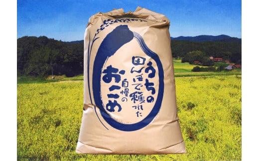 宇部市小野『大山産米』　玄米20kg　【米 お米 玄米 国産米 山口県産 米 宇部市産 米 大山 米 ご飯 コメ ごはん げんまい】