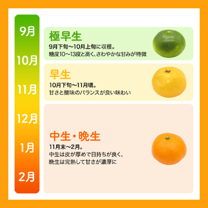 【和歌山県産】訳あり 温州みかん 1kg お試しに♪ (早生・中生・晩稲)【S～2Lサイズおまかせ】【2026年10月中旬～2027年2月下旬頃までに順次発送】＜味好農園＞/ 「おてんば娘」みかん 