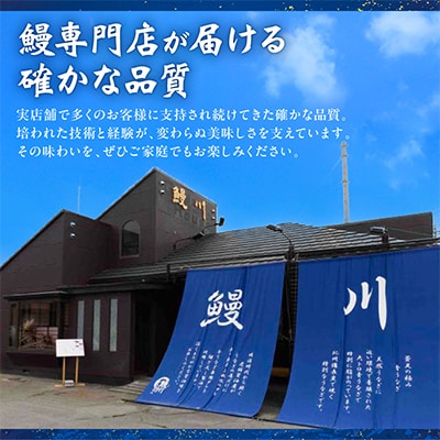 山梨県産富士山脈の地下水うなぎの蒲焼(2尾・280g以上)【配送不可地域：離島】