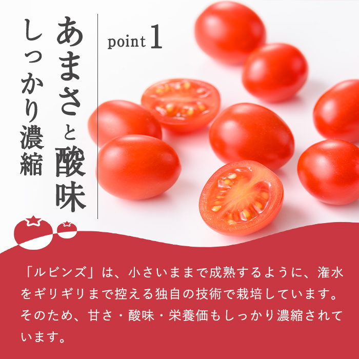 アメーラルビンズ 10パック入り