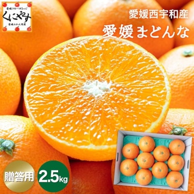 【まるでゼリー!ぷるぷる食感 冬ギフトに一番人気!】愛媛まどんな 贈答用約2.5kg【F20−52】【1595881】