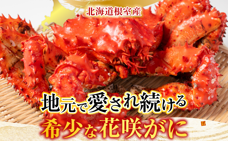 【北海道根室産】花咲かに500～650g×6尾 D-30043