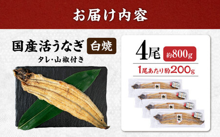 国産活うなぎ4尾（白焼）[AQDF013]鰻鰻鰻鰻鰻鰻鰻うなぎうなぎうなぎうなぎうなぎうなぎ