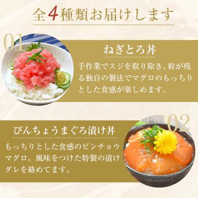 ふるさと納税 徳島市 漬け丼 ねぎとろ丼4種 計10食(まぐろ漬け かつお漬け びんちょうまぐろ)【FW002】 |  | 02