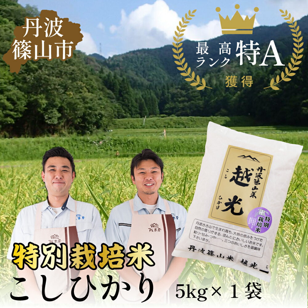 【ふるさと納税】令和6年産　丹波篠山産 特Aランク 農薬不使用特別栽培米　越光 （5kg×1袋） | 丹波篠山 お米 おこめ ブランド米 ごはん ご飯 白米 米 コメ こめ 精米 精白米 ライス おいしい米 美味しいお米 兵庫県 お取り寄せ こしひかり コシヒカリ