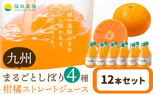 
										
										飲み比べ 九州まるごとしぼり 4種 ストレートジュース 12本セット 1本あたり180ml《30日以内に出荷予定(土日祝除く)》熊本県 水俣市 津奈木町 福田農場 ジュース 果汁100% 柑橘 温州みかん タンカン デコポン 甘夏みかん セット---st_hnms4syu_30d_24_14500_12p---
									