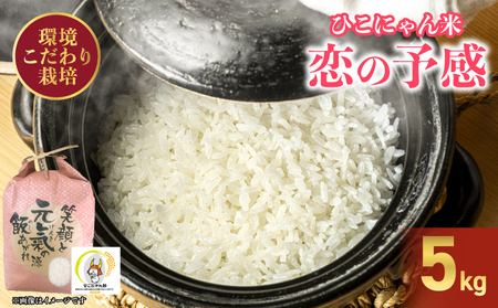 【令和7年産】減農薬米 彦根産 恋の予感 白米 5kg ［shika01_X1] 白米