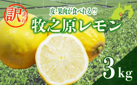 【訳あり】レモン 3kg わけあり れもん 檸檬 Lemon 柑橘類 柑橘 フルーツ 果物 酸っぱい 果肉 酸味 璃の香 防腐剤不使用 牧之原レモン 静岡県 牧之原市 果肉食べられる 自宅用 贈答品 レモンスカッシュ レモンパウンドケーキ レモンサワー くだもの 家庭用 静岡県産 農家直送 産地直送 産直 ビタミン グリーンレモン イエローレモン おすすめ 美味しい りのか