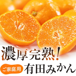 【訳あり・ご家庭用】完熟有田みかん  サイズ混合(2S～2L)　約3.2kg(3kg+200g)【2026年9月中旬～10月上旬頃に順次発送予定】【AA90132-ard194E-09】