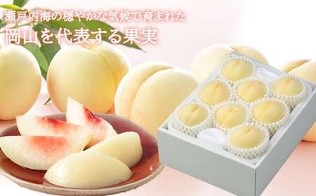 岡山白桃 ロイヤル 5～10玉 約2kg 岡山県産 （早生種・中生種） 【2026年7月上旬～8月下旬迄発送予定】 ／ 白桃 桃 もも 果物 果実 フルーツ 岡山県 美咲町 冷蔵