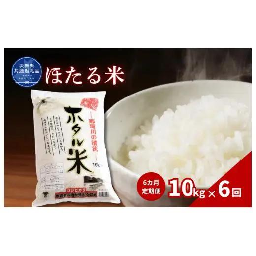【6カ月定期便】ほたる米 10kg（茨城県共通返礼品・城里町産） / 米 こめ コメ お米 おこめ ほたる米 白米 精米 ごはん ご飯 令和7年産 10kg 定期便 茨城県 城里町 利根町