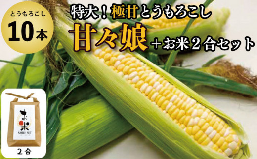 とうもろこし 米 セット 甘々娘 10本 約 4kg コメ 2合 お米 アキサカリ ごはん 先行予約 スマイルセット トウモロコシ コーン スイートコーン 甘い とうもろこしご飯 レシピ付き 期間限定 夏 旬 野菜 鍋 炒め物 煮物 スープ 弁当 惣菜 おかず 健康 新鮮 国産 送料無料 吉野川市 徳島県