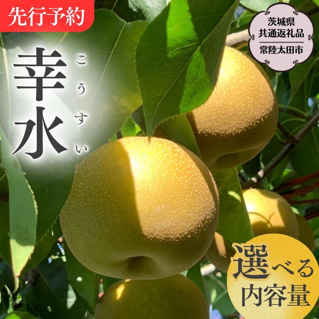 【ふるさと納税】《2025年8月中旬発送開始》 茨城県産 梨 「 幸水 」【茨城県共通返礼品／常陸太田市】 約 3kg 約 5kg 桧山果樹園 農家直送 フルーツ 甘い 直送 茨城 限定 ギフト 梨 幸水 こうすい 果物