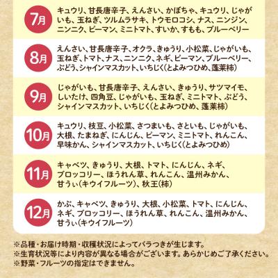 ふるさと納税 宗像市 【9〜11品】むなかた旬のお任せ セット(野菜・フルーツ)【JAほたるの里】_HA1570 |  | 03