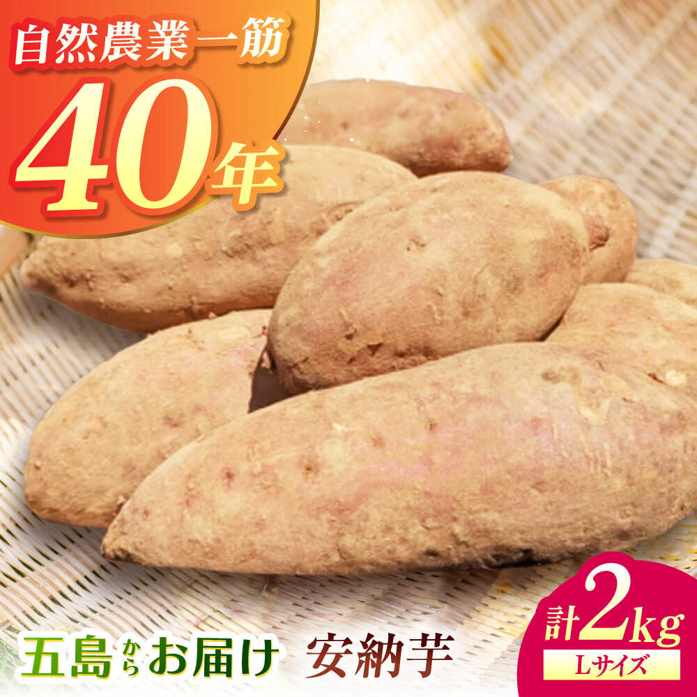 【ふるさと納税】こばさんちの安納芋Lサイズ2kg 五島市/こばさんち農園[PGW001]