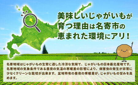 【先行受付】北海道名寄市産 じゃがいも　 Lサイズ　秀品　ジャガイモ