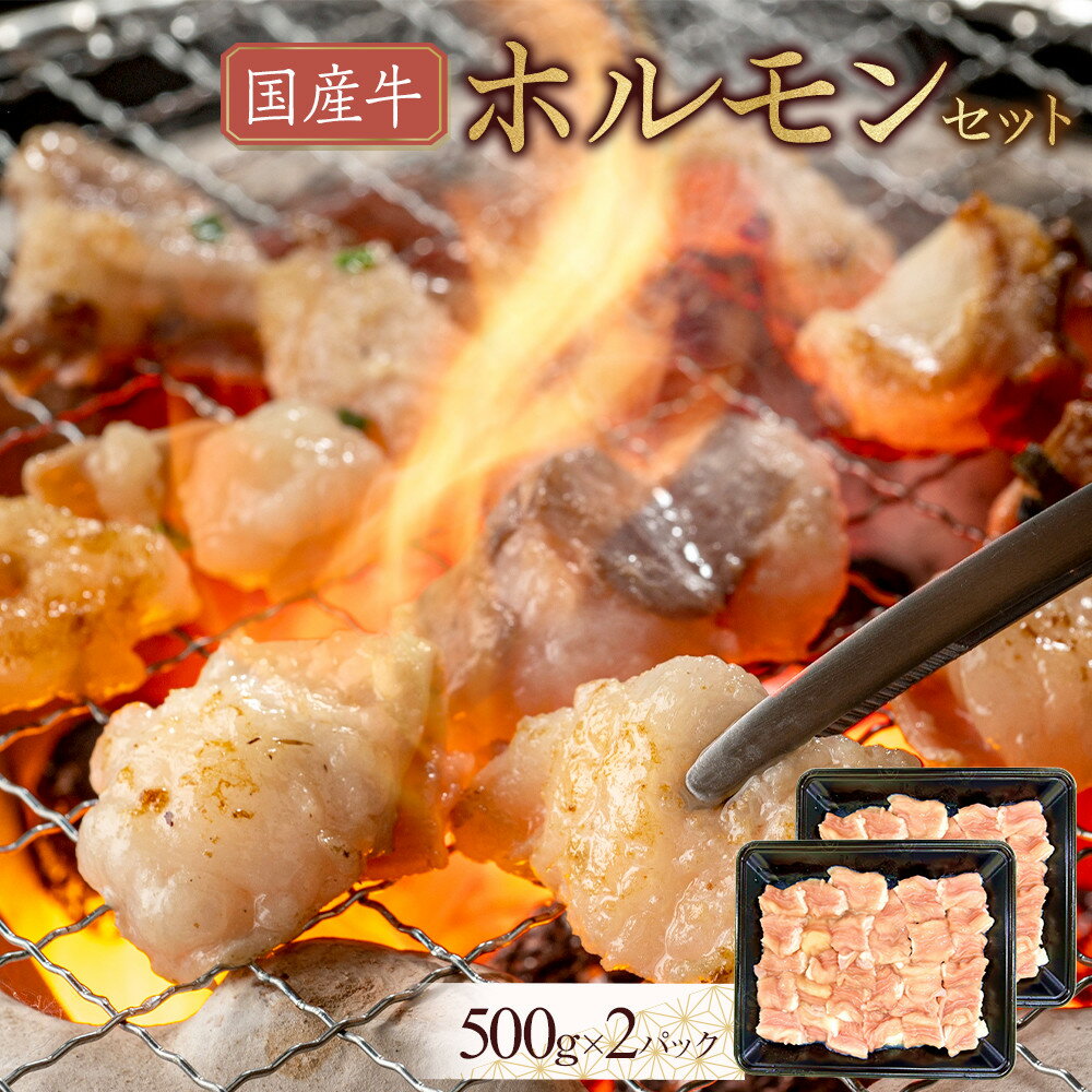 【ふるさと納税】国産牛　ホルモンセット　1000g | 肉 お肉 にく 食品 香川県産 人気 おすすめ 送料無料 ギフト