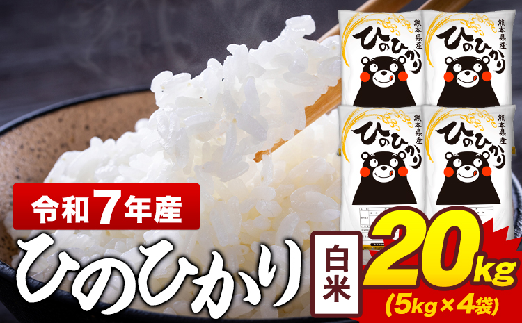 令和7年産 白米 米 ひのひかり 20kg《7-14日以内に出荷予定(土日祝除く)》熊本県 菊池市 国産 熊本県産 白米 精米 送料無料 ヒノヒカリ こめ お米 ---300-5364---
