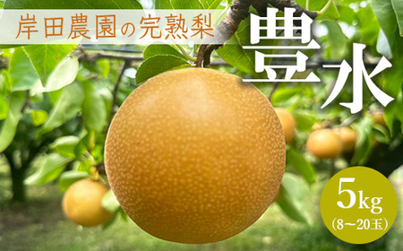 【先行予約】岸田農園の完熟梨 豊水【5kg,8-20玉入り】 | 梨 なし 果物 フルーツ 完熟 ジューシー 秋 旬 産地直送 期間限定 季節限定 季節商品 送料無料 国産 栃木県 芳賀町 ※2025年9月上旬～9月中旬頃に順次発送予定