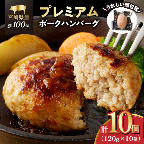 宮崎県産豚プレミアムハンバーグ(計10個) 肉 豚肉 加工品 惣菜 国産_T001-0101