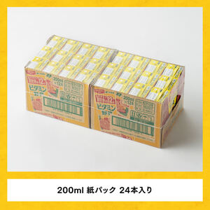 伊藤園 ビタミン野菜（紙パック）200ml×24本【6ヶ月定期便】 【 全6回 伊藤園 飲料類 野菜ジュース ミックスジュース 健康 飲みもの】