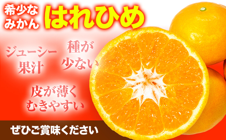 みかん はれひめ 約5kg 　みかん
