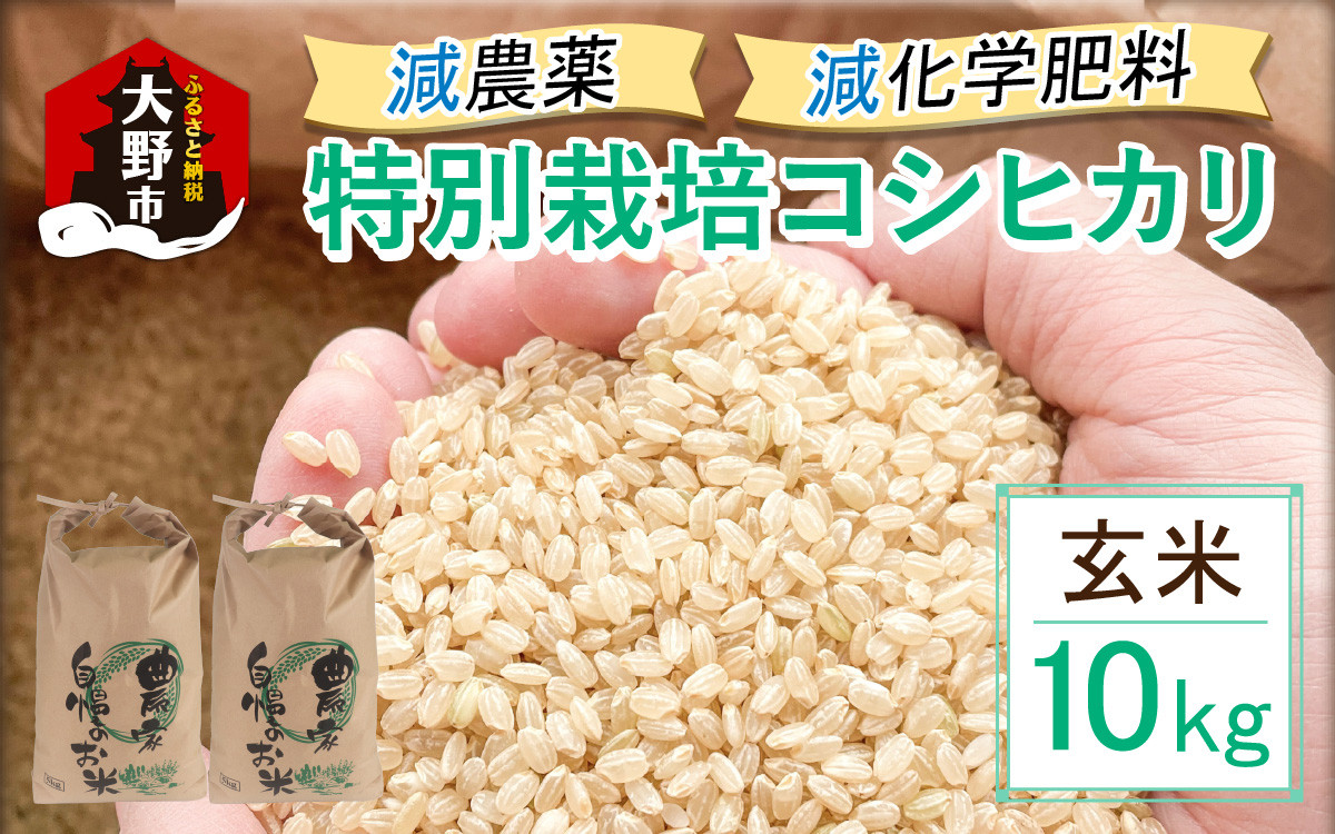 
                  【先行予約】【令和8年産 新米】減農薬・減化学肥料の特別栽培コシヒカリ 玄米 10kg（5kg×2袋） 農家直送 福井県大野市産
                