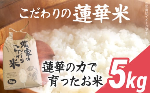 米 5kg すぐ届く 数量限定 こだわりの蓮華米 れんげ米 農家直送 白米 国産米 国産 おにぎり お弁当 朝ごはん 軽食 間食 おやつ 福岡県 福岡 九州 グルメ お取り寄せ