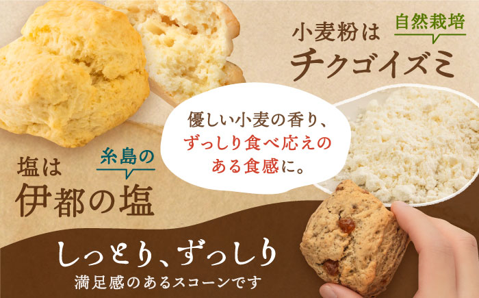 [ご自宅用]スコーンのイメージ変えてみませんか？定番スコーン12個セット ≪糸島≫【キナフク】 [AFA001]