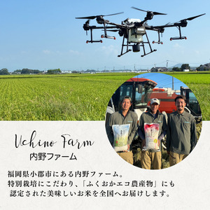 特別栽培米 R7年度産 福岡県 小郡産 元気つくし 5kg 米 お米