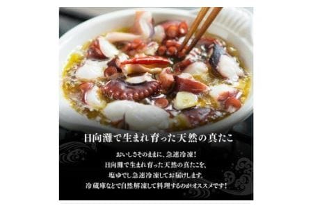 漁協直送！天然タコ（湯がき済）小分けで1kg前後 【 海鮮 真たこ 刺身 マリネ 魚介 九州 宮崎 川南 地どれたこ 】