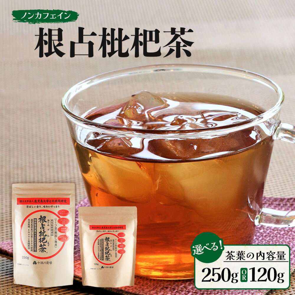 【ふるさと納税】根占枇杷茶 茶葉 煮出し用（選べる内容量！120g・250g）| ねじめ びわ茶 国産 使い切り トルマリン石 焙煎 健康茶 お茶 煮だし 飲みやすい 香ばしい おいしい びわの葉 ネコポス 鹿児島県 南大隅町 十津川農場