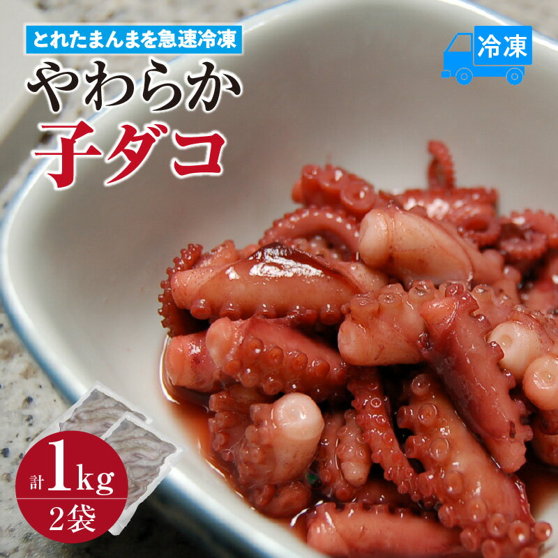 【ふるさと納税】＼とれたまんまを急速冷凍／ やわらか子ダコ【500g×2袋 1kg】冷凍 国産小だこ生 真空パック 使い方いろいろ 便利 海の幸 たこ飯 たこ 兵庫県 香美町 74-28 送料無料