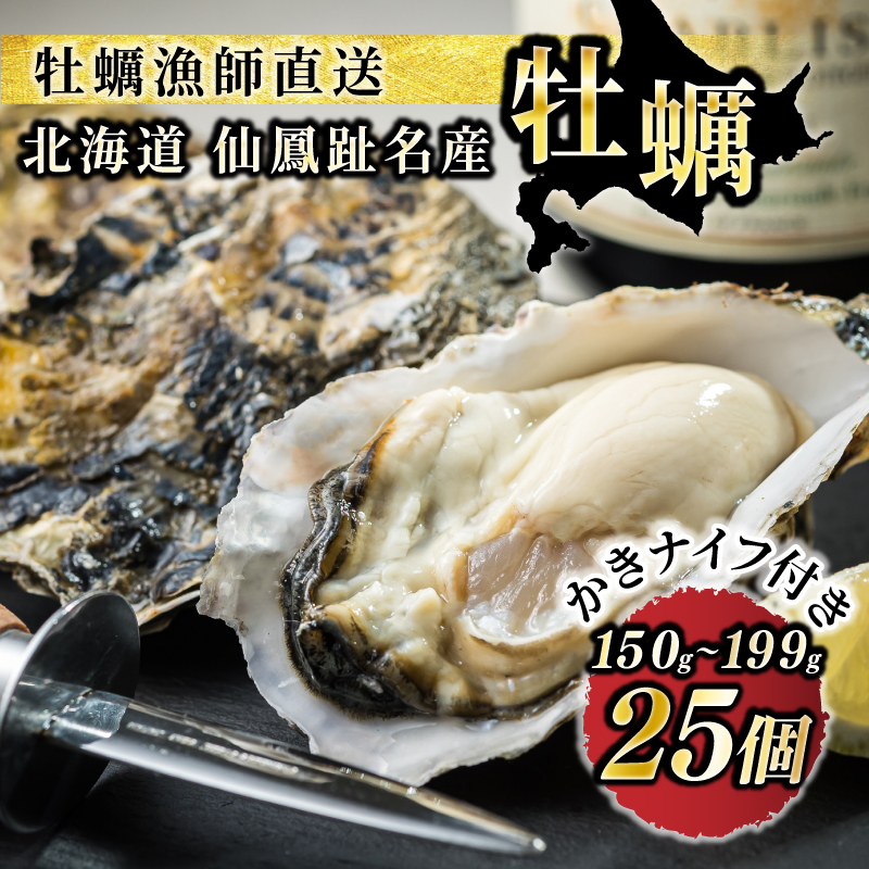 【先行予約】北海道 仙鳳趾名産 牡蠣 150g～199g×25コ＋かきナイフ付き かき漁師直送 K1-7 （出荷期間：2026年7月1日～9月末） 北海道 釧路町 釧路超 特産品