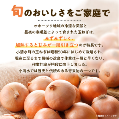 北海道小清水町産 玉ねぎ20kg 甘み豊か 産地直送