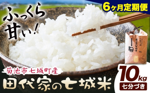 【6ヶ月定期便】令和7年産 菊池市七城町産 田代家の七城米 七城ヒノヒカリ 七分づき 10kg 田代こめや《お申込み翌月から出荷》熊本県 菊池市 米 お米 精米 ひのひかり 菊池市産 熊本県産 九州産 送料無料