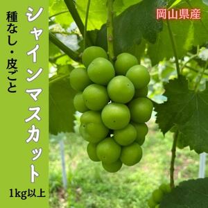 【2025年先行受付】岡山のぶどう(シャインマスカット)1kg以上(2房)【配送不可地域：離島】【1617999】
