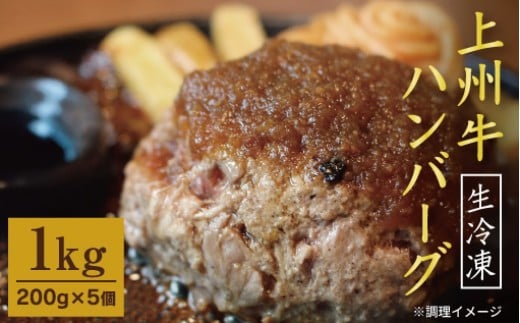 生冷凍 上州牛ハンバーグ 1kg（200g×5個）