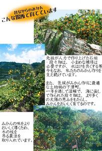 蔵出しみかん3kg入り　SS又はSいずれかのサイズ　鈴木農園から農園直送！【北海道・沖縄県・一部離島 配送不可】