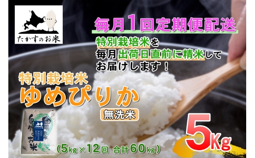 【 12回定期便 】 ゆめぴりか （ 無洗米 ） 約5kg （ 約5kg × 1袋 ） 米 ブランド米 ごはん 鷹栖町産 国産 定期便 定期配送 【 2026年10月上旬発送開始予定 】