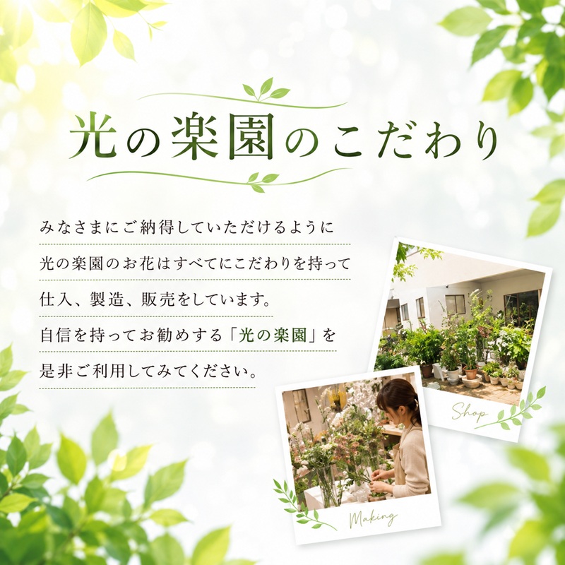 光の楽園　パキラ1.25【配送不可：北海道・沖縄・離島】 雑貨 日用品 植物 造花