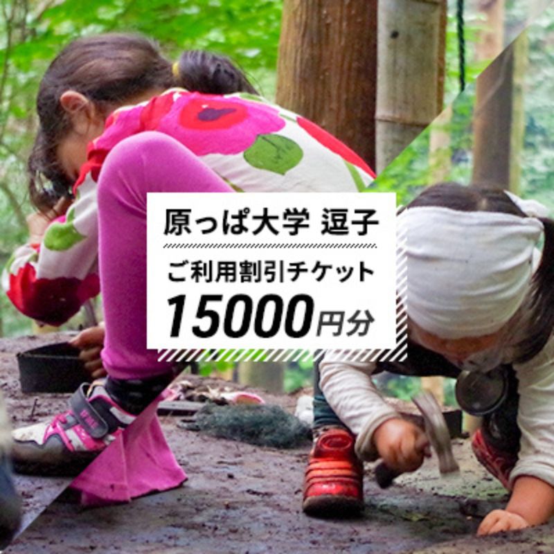 【ふるさと納税】原っぱ大学 割引チケット 15000円分 体験 チケット フィールドワーク レジャー お出かけ スポット 親子体験 リフレッシュ デジタルデトックス リトリート 山 海神奈川県 逗子市　体験チケット