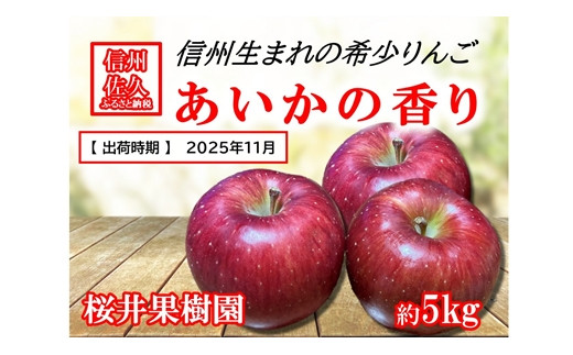 
            長野県産りんご『あいかの香り』 家庭用 約5kg（10～23玉入）〈2025年11月出荷／沖縄・離島は配送不可〉信州 果物 旬彩 先行予約 期間限定 国産 【 フルーツ 長野県 佐久市 桜井果樹園 】
          