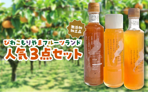 びわこもりやまフルーツランド無添加加工品　人気３点セット