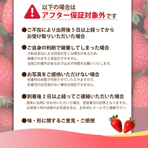 【2026年先行予約】 いちご 大粒 9～18粒 2箱 【 いちご 】
