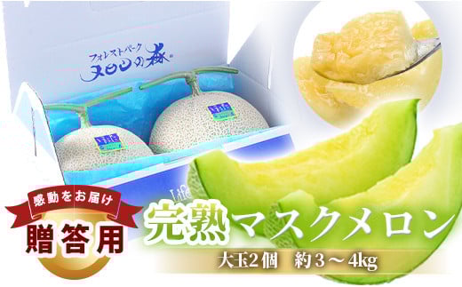 メロンの森　アールスメロン（マスクメロン）　2個入り（約3kg～4kg）