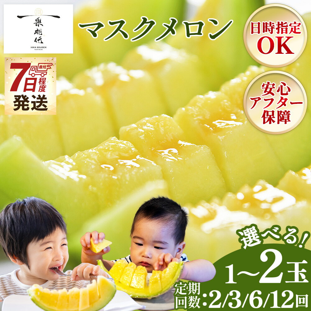 【ふるさと納税】【期間限定】【お中元】一果相伝 マスクメロン 1玉入り/2玉入り 2回/3回/6回/12回 - 旬 完熟 夏ギフト 選べる 個数 定期便 最短配送 めろん デザート 青肉 果物 くだもの フルーツ 2個 贈答用 贈答品 贈り物 ギフト 糖度 篤農 高知県 香南市【常温】