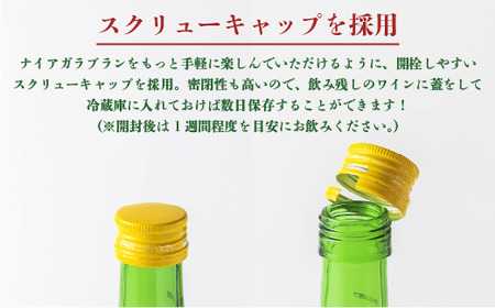 サンクゼール ナイアガラブラン （2022） 720ml × 2本 沖縄県への配送不可 ナイアガラ 白ワイン 長野県 飯綱町 [1604]