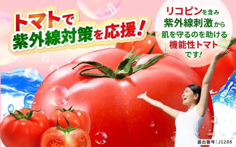 先行予約 みつぼしトマト リコピン 約400g × 2袋 (計800g) 2026年5月上旬以降発送 とまと 機能性表示食品 野菜 [A-2615]